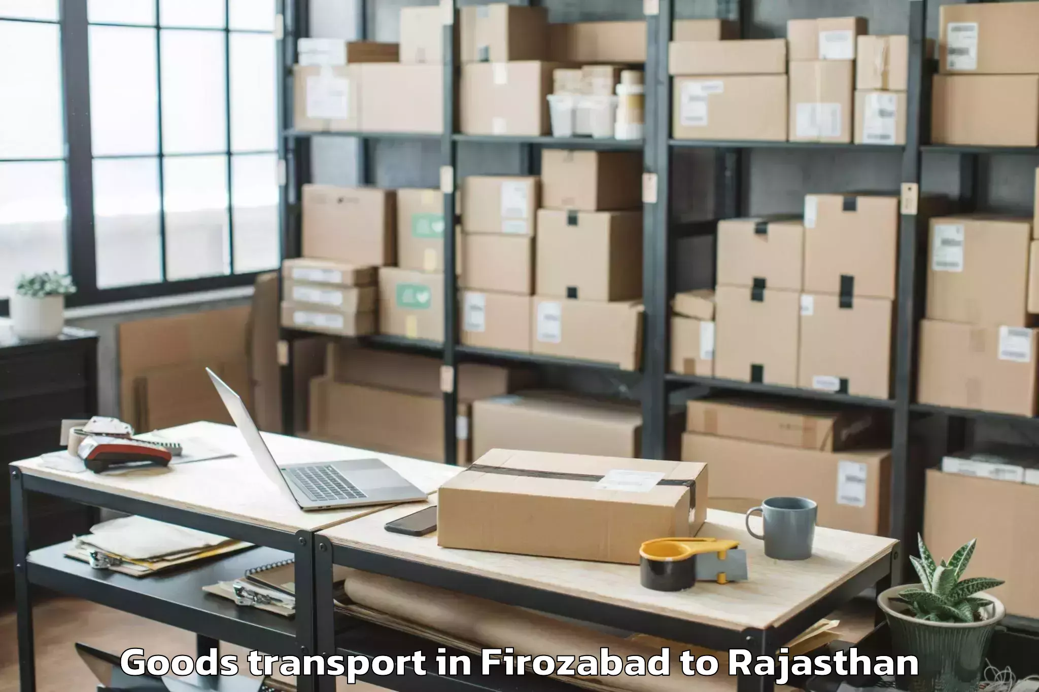 Professional Firozabad to Jaipur National University Jai Goods Transport